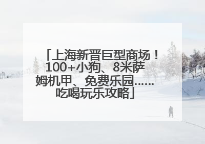 上海新晋巨型商场！100+小狗、8米萨姆机甲、免费乐园……吃喝玩乐攻略
