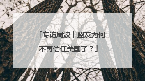 专访周波丨盟友为何不再信任美国了？