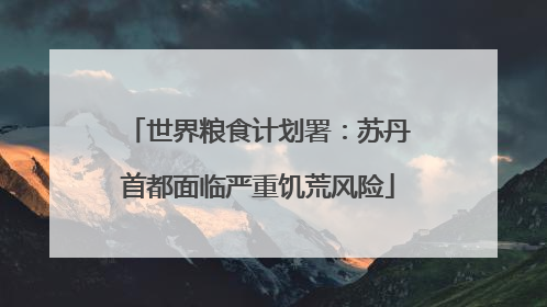 世界粮食计划署：苏丹首都面临严重饥荒风险