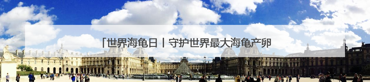 世界海龟日丨守护世界最大海龟产卵 特多“守夜人”坚守海滩30多年