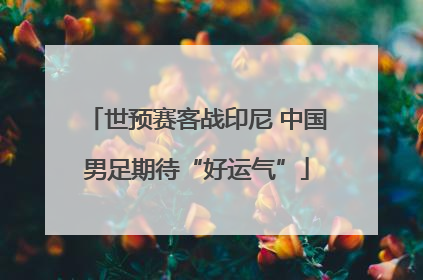 世预赛客战印尼 中国男足期待“好运气”