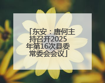 东安：唐何主持召开2025年第16次县委常委会会议