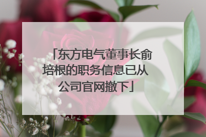 东方电气董事长俞培根的职务信息已从公司官网撤下