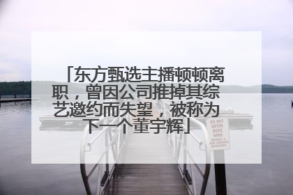 东方甄选主播顿顿离职，曾因公司推掉其综艺邀约而失望，被称为下一个董宇辉