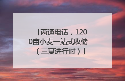 两通电话，1200亩小麦一站式收储（三夏进行时）