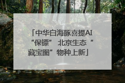 中华白海豚喜提AI“保镖” 北京生态“藏宝图”物种上新