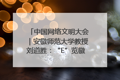 中国网络文明大会｜安徽师范大学教授刘道胜：“E”览徽风，构筑中华民族共有精神家园