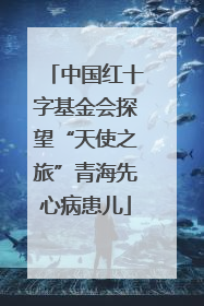 中国红十字基金会探望“天使之旅”青海先心病患儿
