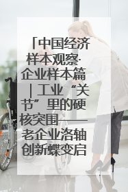 中国经济样本观察·企业样本篇｜工业“关节”里的硬核突围——老企业洛轴创新蝶变启示录
