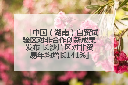 中国（湖南）自贸试验区对非合作创新成果发布 长沙片区对非贸易年均增长141%