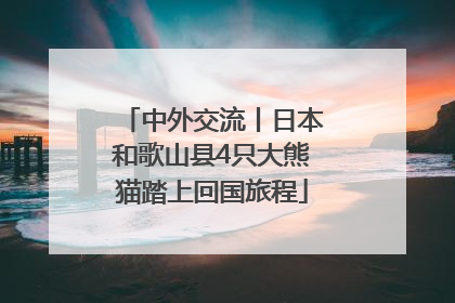 中外交流丨日本和歌山县4只大熊猫踏上回国旅程