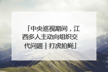 中央巡视期间，江西多人主动向组织交代问题｜打虎拍蝇