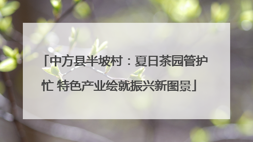 中方县半坡村：夏日茶园管护忙 特色产业绘就振兴新图景