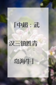 中超：武汉三镇胜青岛海牛