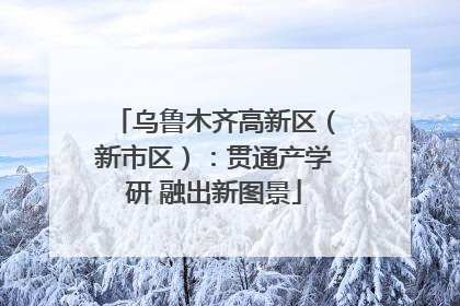 乌鲁木齐高新区（新市区）：贯通产学研 融出新图景