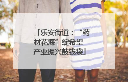 乐安街道：“药材花海”绽希望 产业振兴鼓钱袋