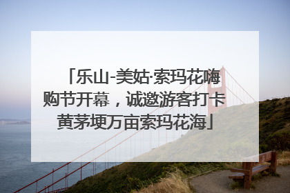 乐山-美姑·索玛花嗨购节开幕，诚邀游客打卡黄茅埂万亩索玛花海
