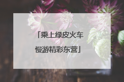 乘上绿皮火车 慢游精彩东营