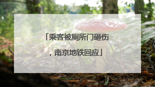 乘客被厕所门砸伤，南京地铁回应