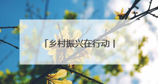 乡村振兴在行动丨从“土坷垃”到“金疙瘩” 卢龙甘薯串起富民产业链