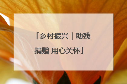 乡村振兴｜助残捐赠 用心关怀