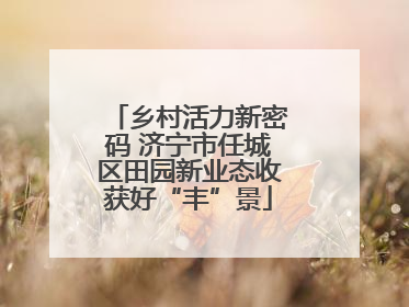 乡村活力新密码 济宁市任城区田园新业态收获好“丰”景