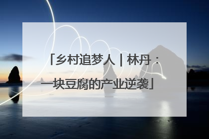 乡村追梦人｜林丹：一块豆腐的产业逆袭