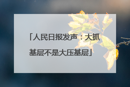 人民日报发声：大抓基层不是大压基层