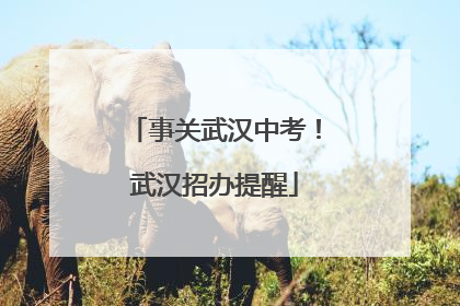 事关武汉中考！武汉招办提醒