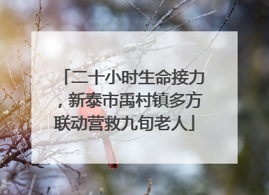 二十小时生命接力，新泰市禹村镇多方联动营救九旬老人