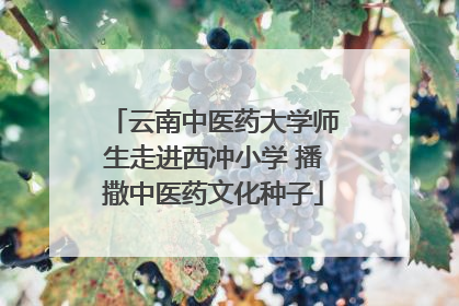 云南中医药大学师生走进西冲小学 播撒中医药文化种子