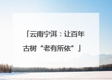 云南宁洱：让百年古树“老有所依”