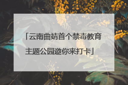 云南曲靖首个禁毒教育主题公园邀你来打卡