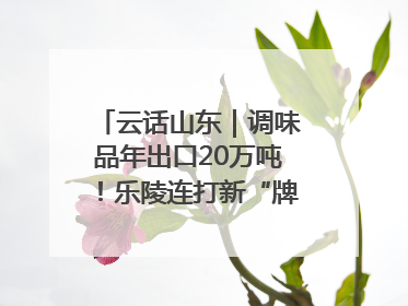 云话山东｜调味品年出口20万吨！乐陵连打新“牌”助力企业出海