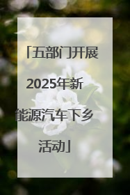 五部门开展2025年新能源汽车下乡活动