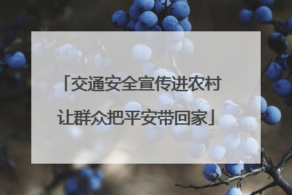 交通安全宣传进农村 让群众把平安带回家