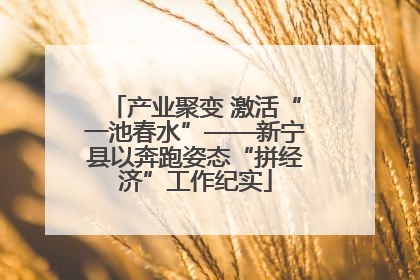 产业聚变 激活“一池春水”——新宁县以奔跑姿态“拼经济”工作纪实