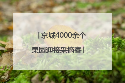 京城4000余个果园迎接采摘客