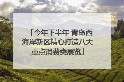 今年下半年 青岛西海岸新区精心打造八大重点消费类展览