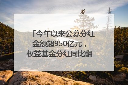 今年以来公募分红金额超950亿元，权益基金分红同比翻倍｜招财猫