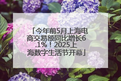 今年前5月上海电商交易额同比增长6.1%！2025上海数字生活节开幕