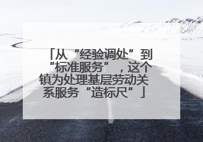 从“经验调处”到“标准服务”，这个镇为处理基层劳动关系服务“造标尺”