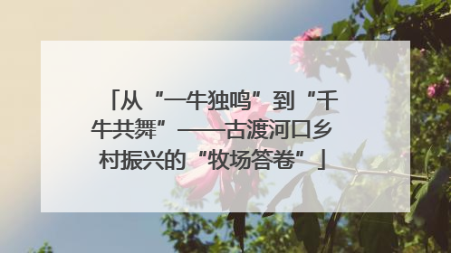 从“一牛独鸣”到“千牛共舞”——古渡河口乡村振兴的“牧场答卷”