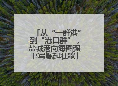 从“一群港”到“港口群”，盐城港向海图强书写崛起壮歌