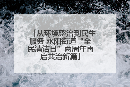 从环境整治到民生服务 永阳街道“全民清洁日”两周年再启共治新篇