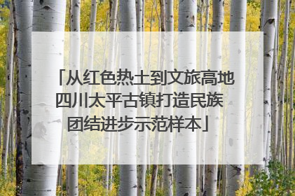 从红色热土到文旅高地 四川太平古镇打造民族团结进步示范样本
