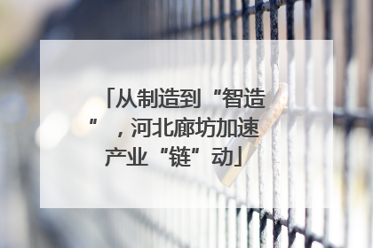 从制造到“智造”，河北廊坊加速产业“链”动