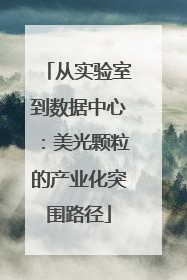 从实验室到数据中心：美光颗粒的产业化突围路径