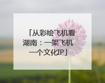 从彩绘飞机看湖南：一架飞机一个文化IP