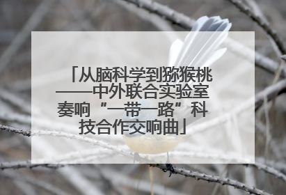 从脑科学到猕猴桃——中外联合实验室奏响“一带一路”科技合作交响曲